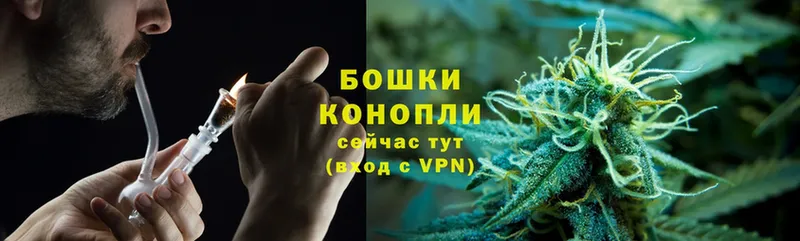 Бошки Шишки OG Kush  Татарск 